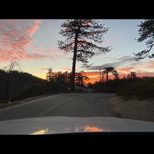 Meet your Posher, Tamar